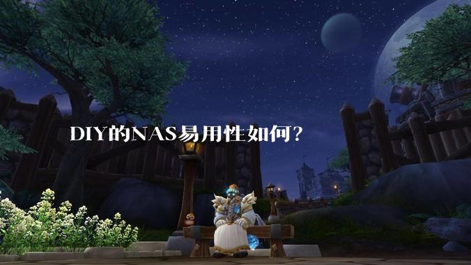DIY的NAS易用性如何？
