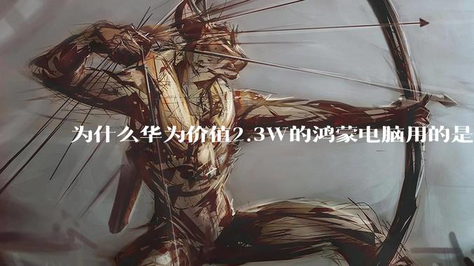 为什么华为价值2.3W的鸿蒙电脑用的是美国西数的中低固态硬盘？？